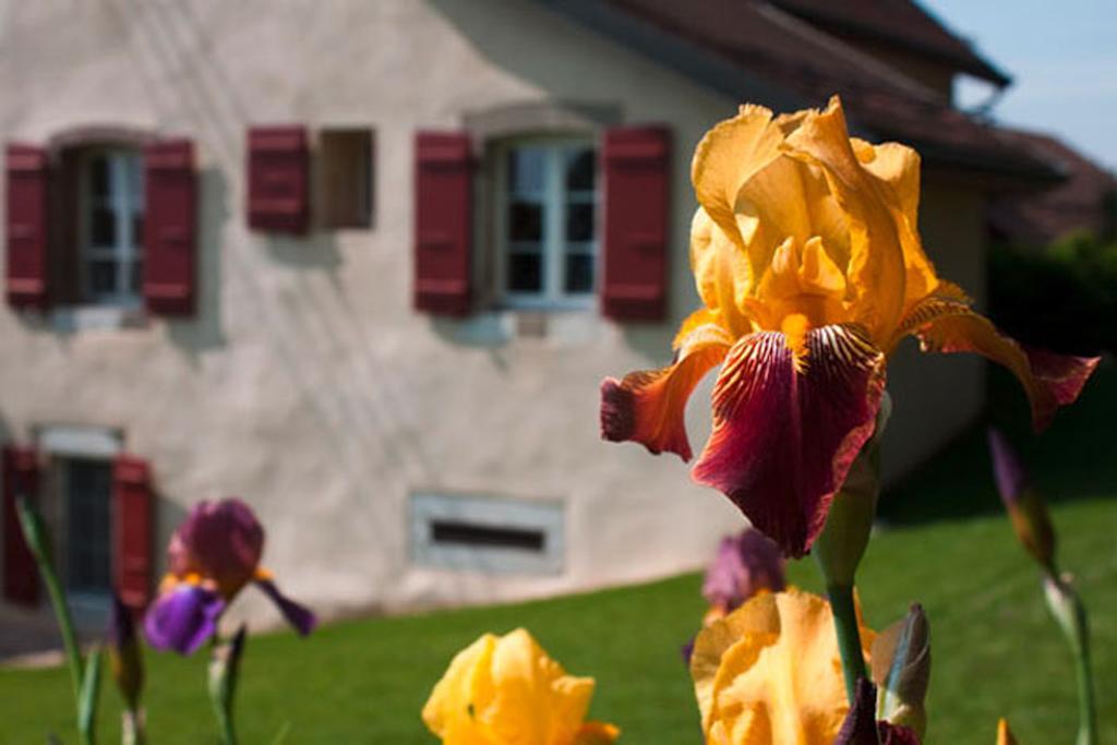 La Belle Saison Bed & Breakfast Mollens  Eksteriør bilde